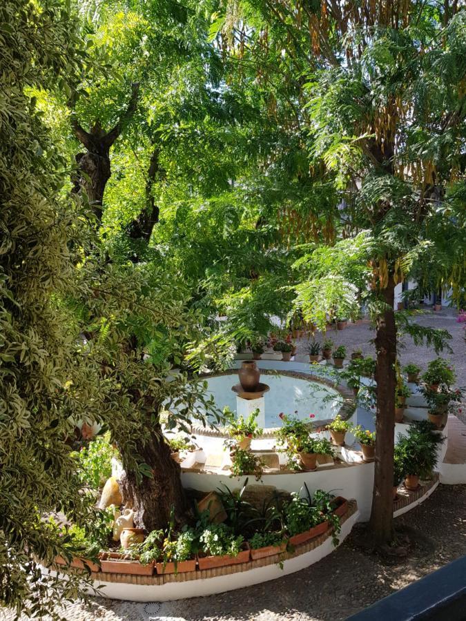 Appartement Patio Andaluz Siglo Xvi